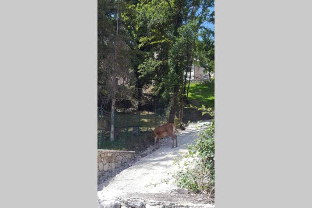 Casa Vacanze Al Castello Villetta Barrea Luaran gambar