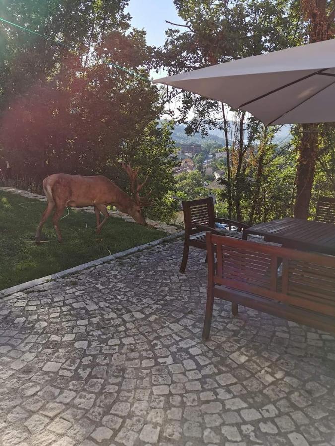 Casa Vacanze Al Castello Villetta Barrea Luaran gambar