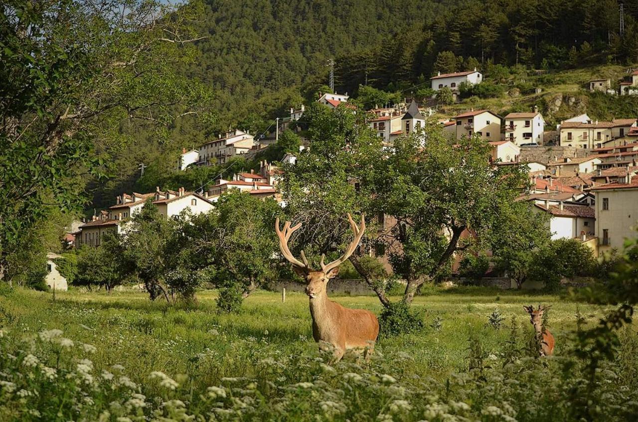 Casa Vacanze Al Castello Villetta Barrea Luaran gambar