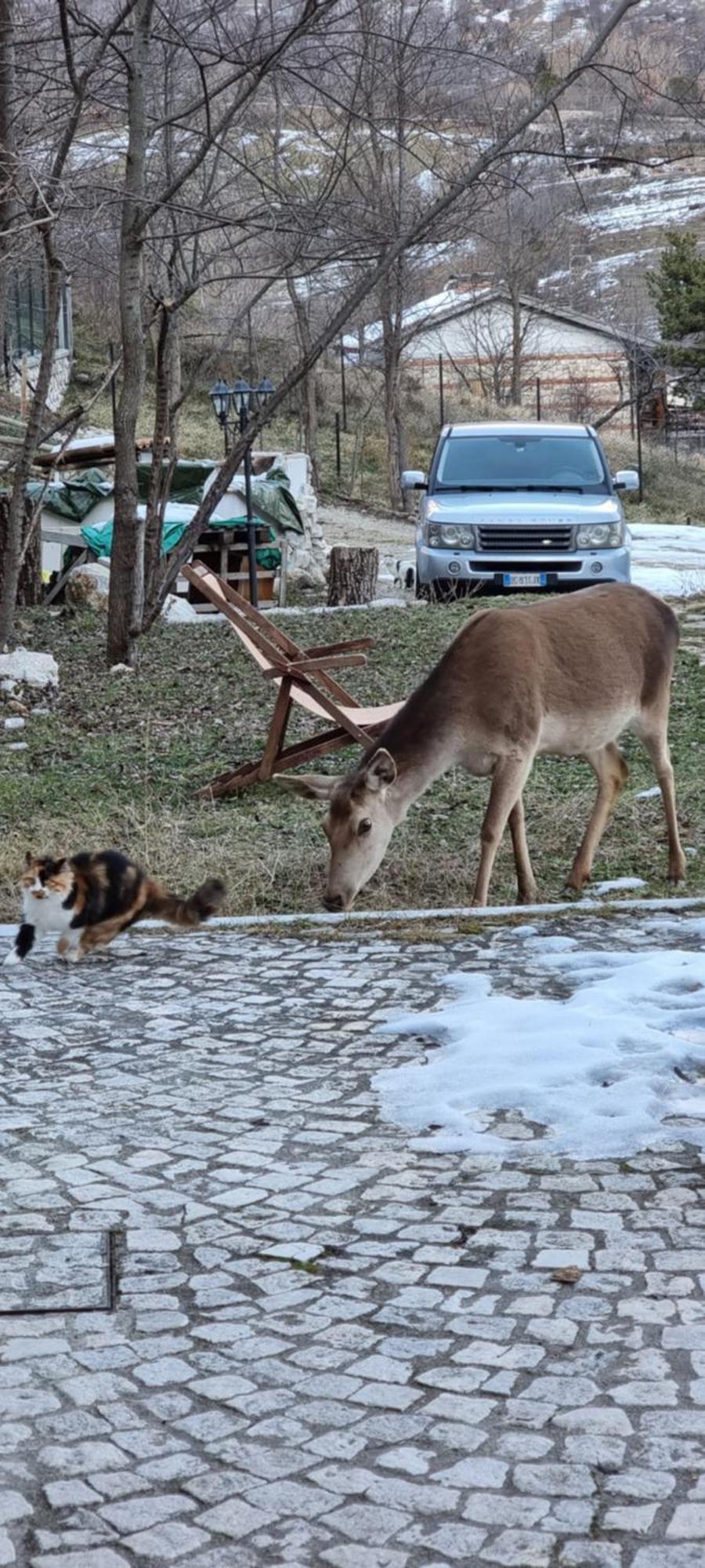 Casa Vacanze Al Castello Villetta Barrea Bilik gambar